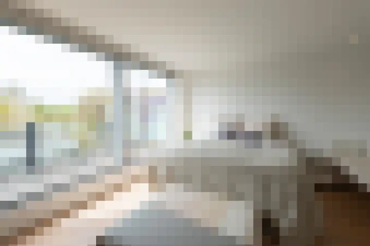 Lisdoddelaan 36 Amsterdam thumbnail 27