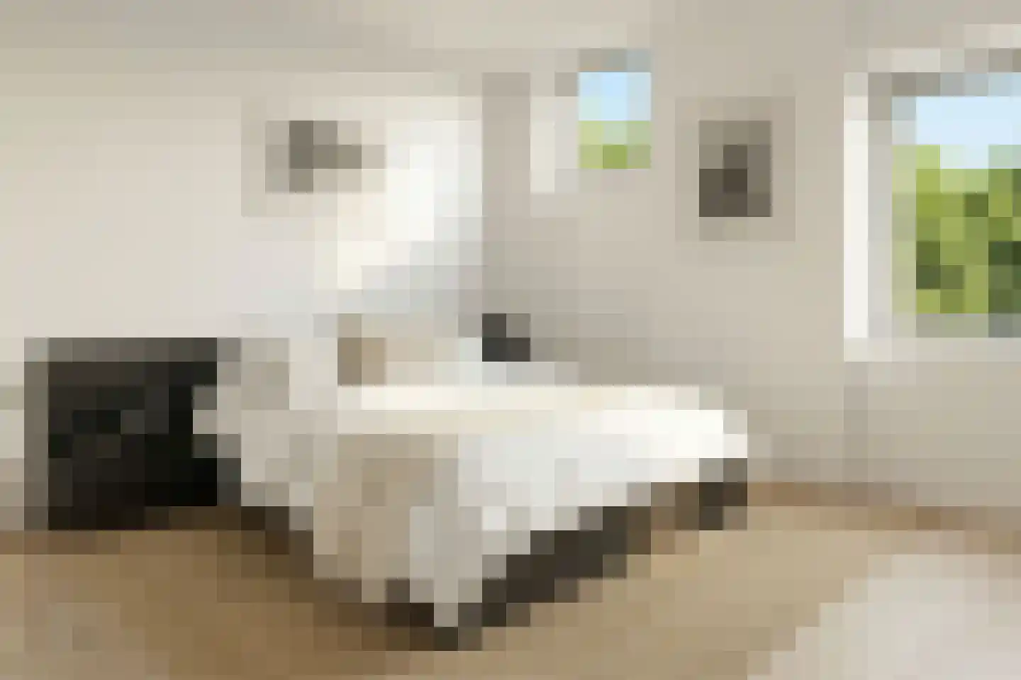 Lisdoddelaan 36 Amsterdam thumbnail 61