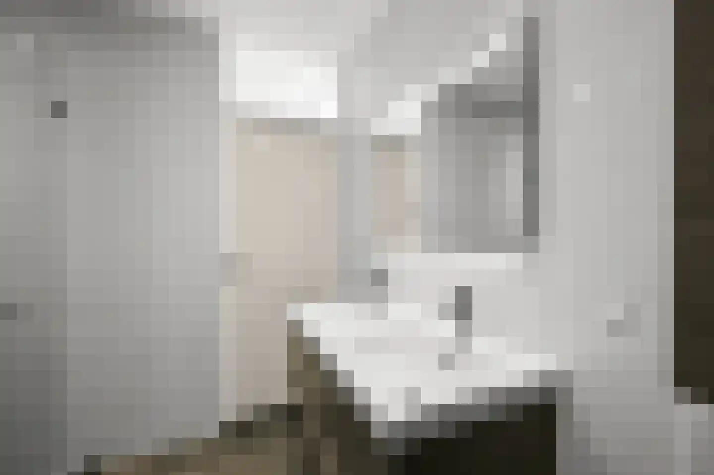 Lisdoddelaan 36 Krommenie thumbnail 16