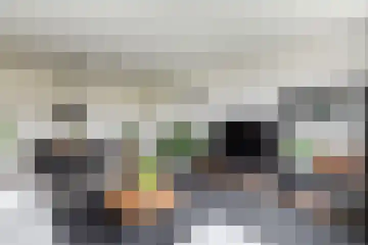 Lisdoddelaan 37 Krommenie thumbnail 13