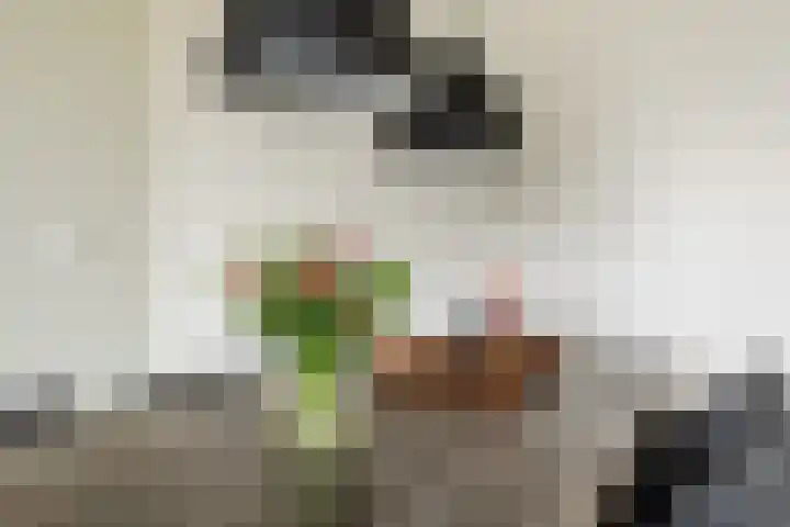 Lisdoddelaan 37 Krommenie thumbnail 14
