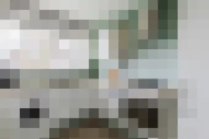 Lisdoddelaan 37 Krommenie thumbnail 15