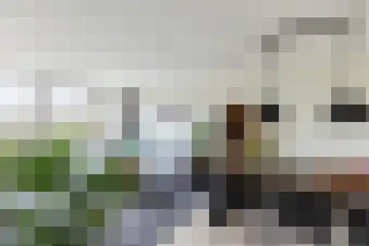 Lisdoddelaan 37 Krommenie foto 2