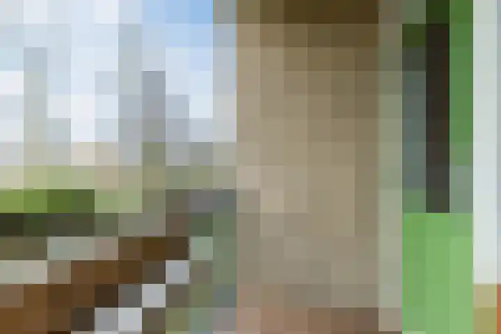 Lisdoddelaan 37 Krommenie thumbnail 27