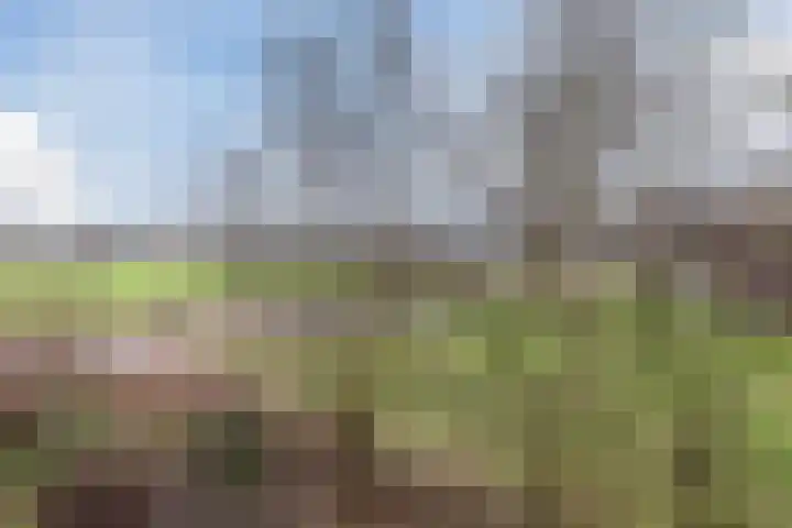 Lisdoddelaan 37 Krommenie thumbnail 28