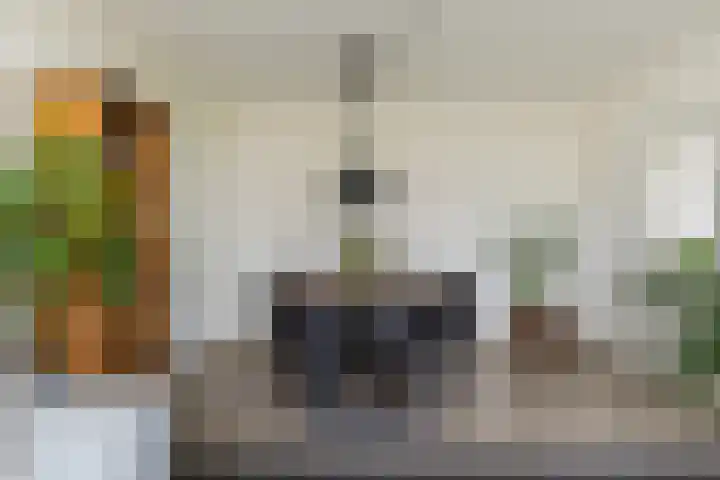 Lisdoddelaan 37 Krommenie foto 3