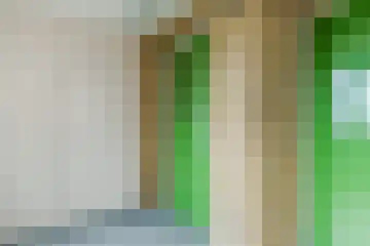 Lisdoddelaan 37 Krommenie thumbnail 33