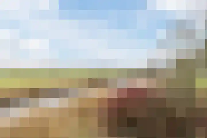 Lisdoddelaan 37 Krommenie thumbnail 35