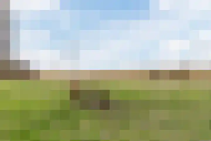 Lisdoddelaan 37 Krommenie thumbnail 36