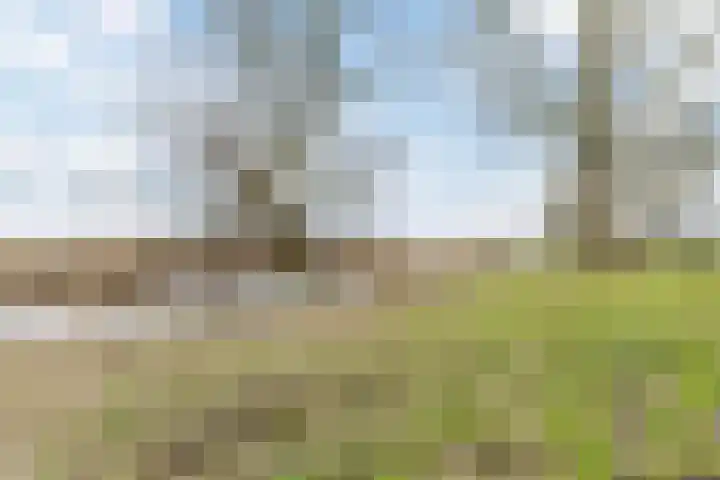 Lisdoddelaan 37 Krommenie thumbnail 37