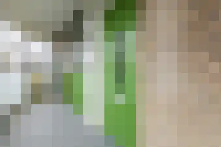 Lisdoddelaan 37 Krommenie thumbnail 5
