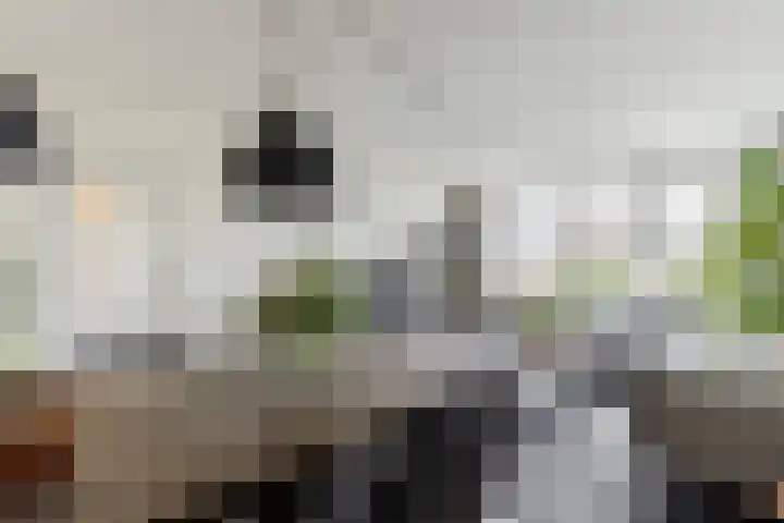 Lisdoddelaan 37 Krommenie thumbnail 8