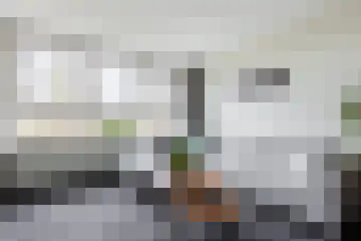 Lisdoddelaan 37 Krommenie thumbnail 9