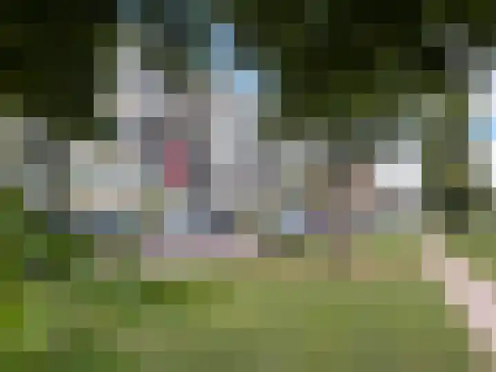 Lisdoddelaan 4 3 Arnhem thumbnail 19