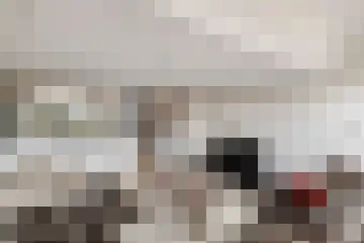 Lisdoddelaan 41 A Amsterdam thumbnail 18