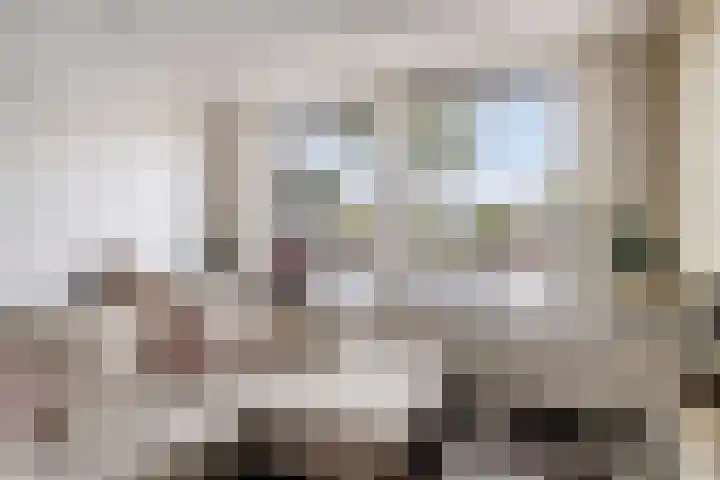 Lisdoddelaan 41 A Amsterdam thumbnail 20