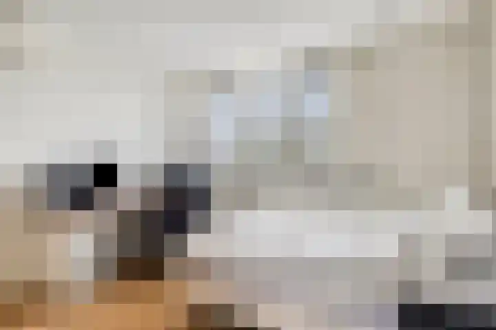 Lisdoddelaan 41 A Amsterdam thumbnail 29