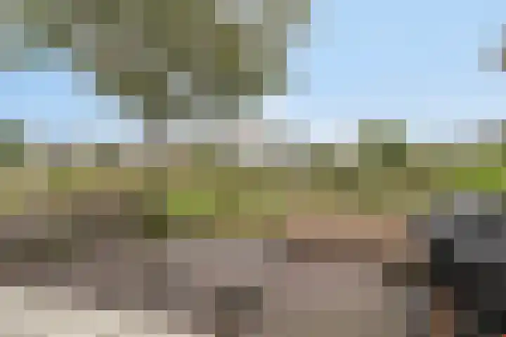 Lisdoddelaan 41 A Amsterdam thumbnail 37