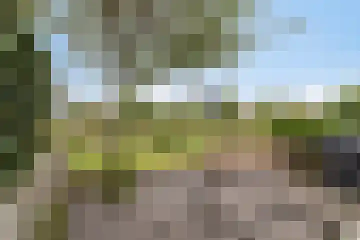 Lisdoddelaan 41 A Amsterdam thumbnail 38