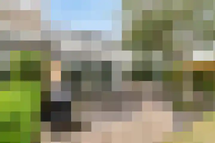 Lisdoddelaan 41 A Amsterdam thumbnail 39
