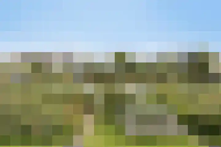 Lisdoddelaan 41 A Amsterdam thumbnail 40