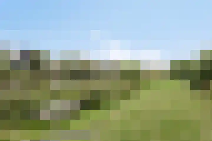 Lisdoddelaan 41 A Amsterdam thumbnail 41