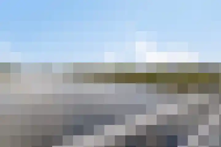 Lisdoddelaan 41 A Amsterdam thumbnail 47