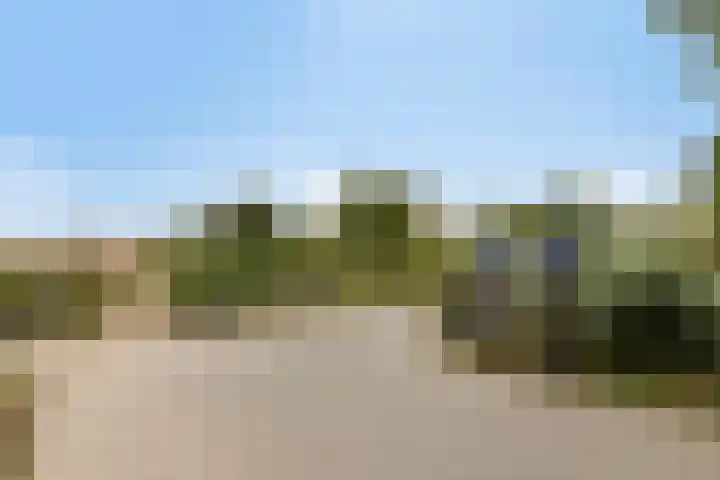 Lisdoddelaan 41 A Amsterdam thumbnail 48