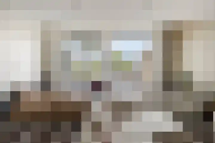 Lisdoddelaan 41 A Amsterdam thumbnail 5