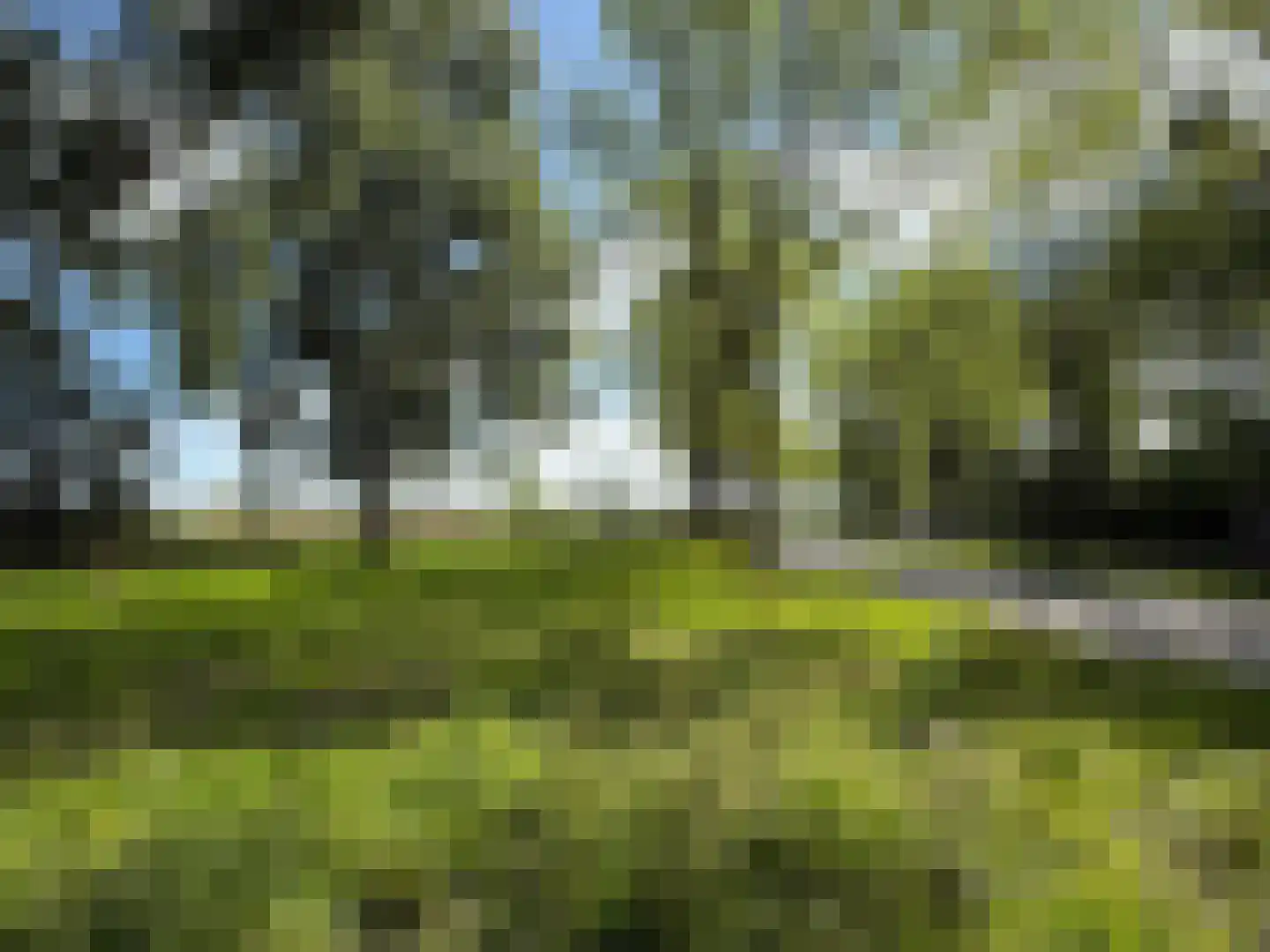 Lisdoddelaan 44 Krommenie foto 2