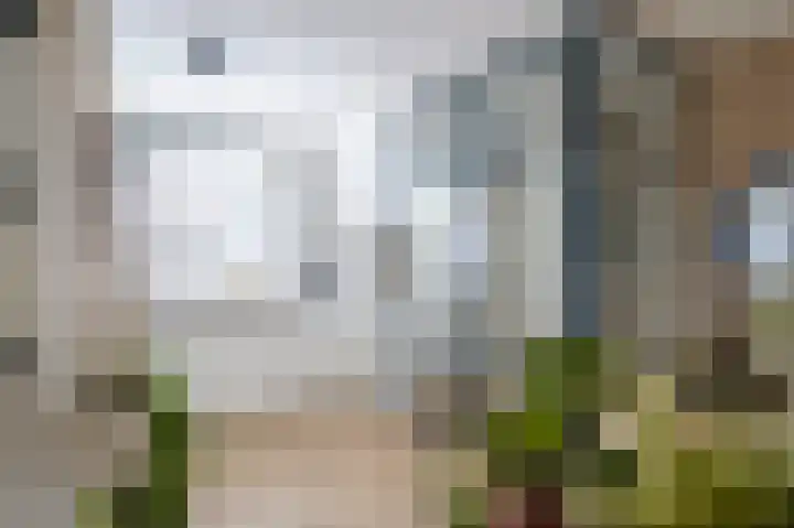 Lisdoddelaan 51 a Leerdam thumbnail 20