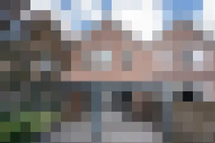 Lisdoddelaan 51 a Leerdam thumbnail 37