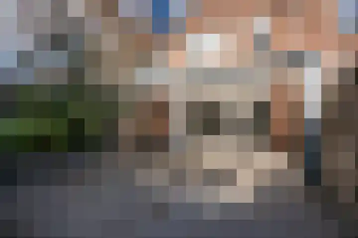 Lisdoddelaan 51 a Leerdam thumbnail 4