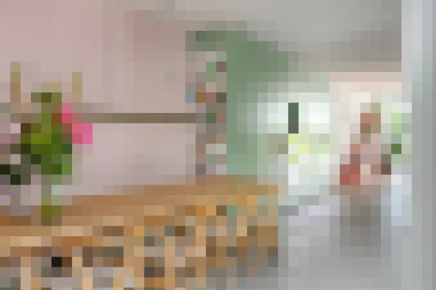Lisdoddelaan 64 Amsterdam thumbnail 20