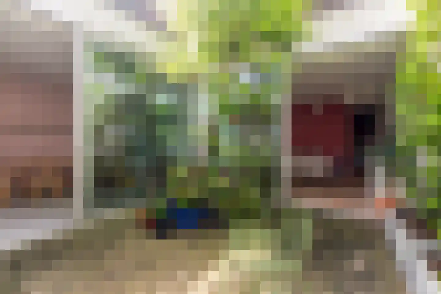 Lisdoddelaan 64 Amsterdam thumbnail 22