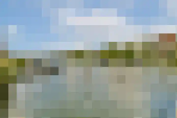 Lisdoddelaan 65 Amsterdam thumbnail 10