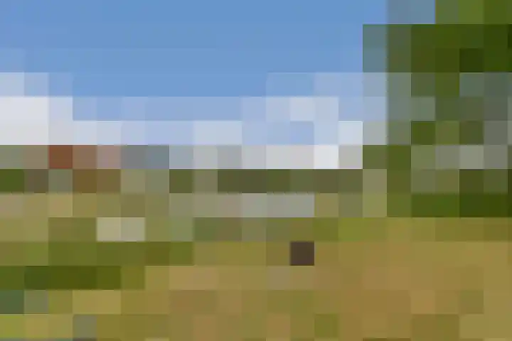 Lisdoddelaan 65 Amsterdam thumbnail 11