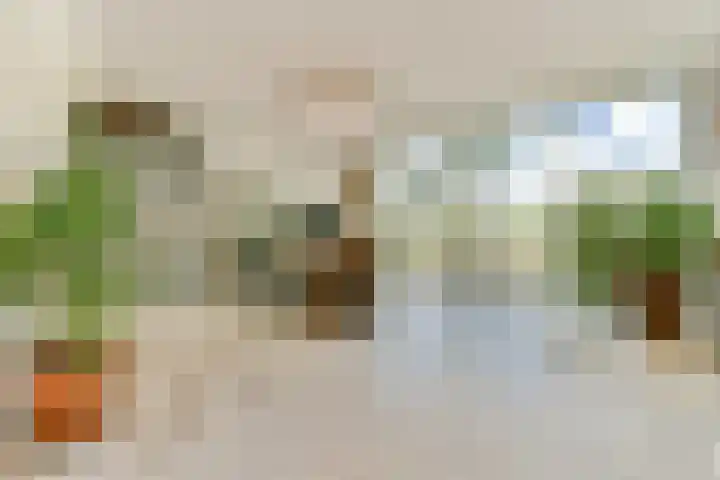 Lisdoddelaan 65 Amsterdam thumbnail 14