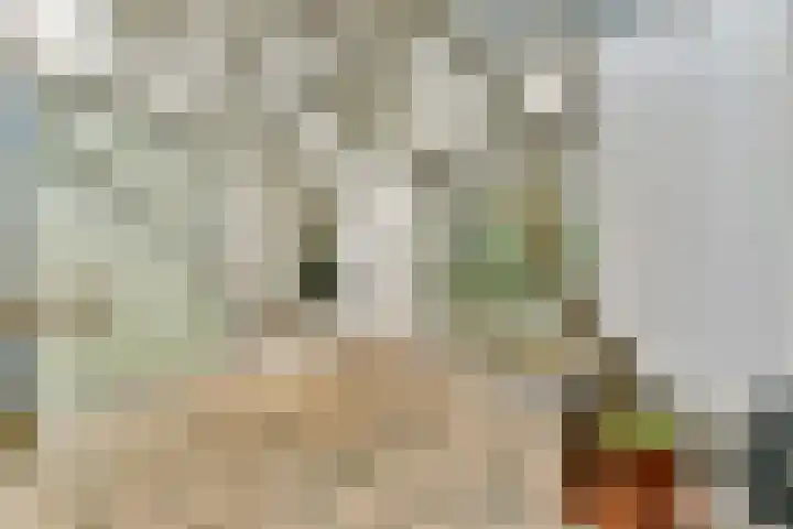 Lisdoddelaan 65 Amsterdam thumbnail 18