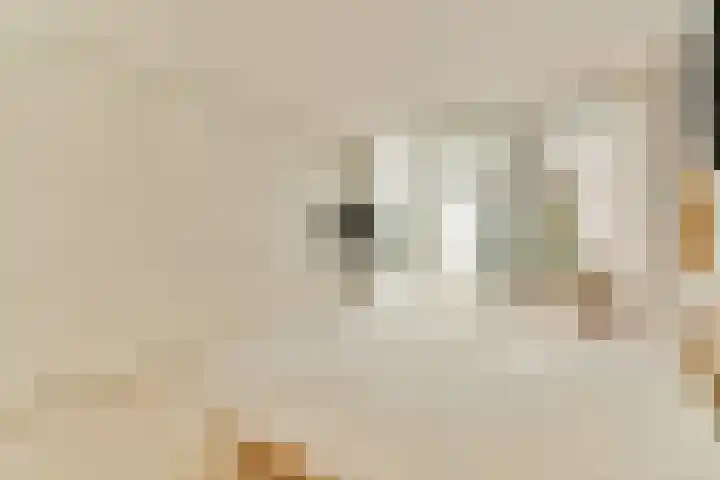 Lisdoddelaan 65 Amsterdam thumbnail 19