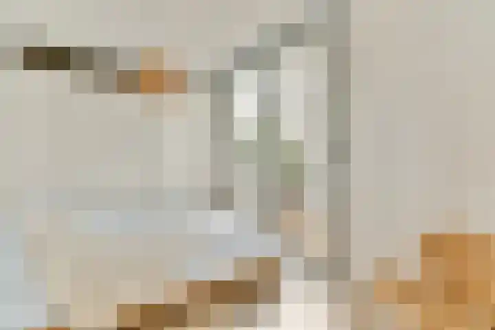 Lisdoddelaan 65 Amsterdam thumbnail 23