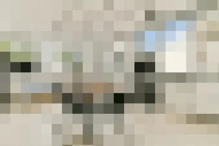 Lisdoddelaan 65 Amsterdam thumbnail 27