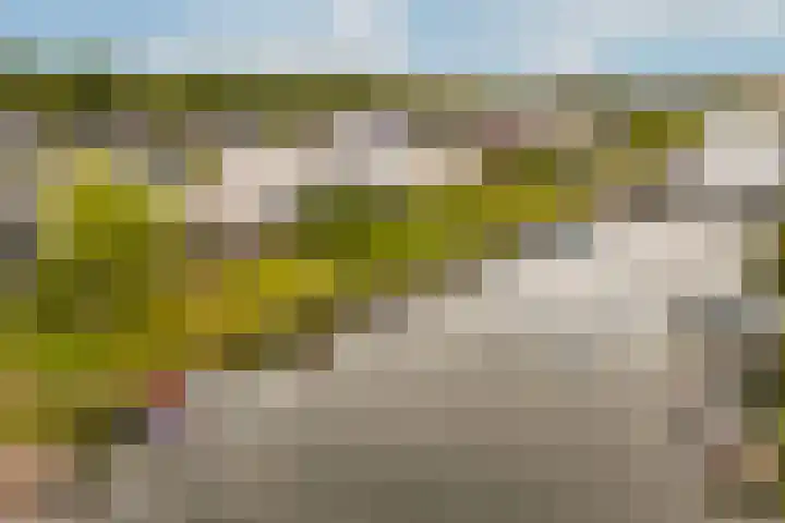 Lisdoddelaan 65 Amsterdam thumbnail 29