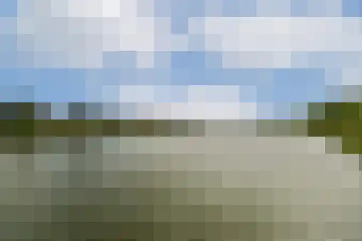 Lisdoddelaan 65 Amsterdam thumbnail 30