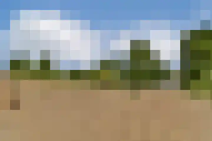 Lisdoddelaan 65 Amsterdam thumbnail 31