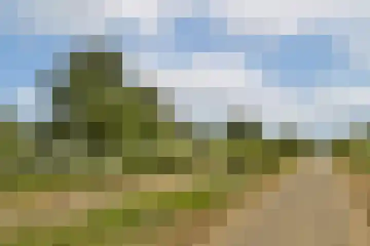 Lisdoddelaan 65 Amsterdam thumbnail 32