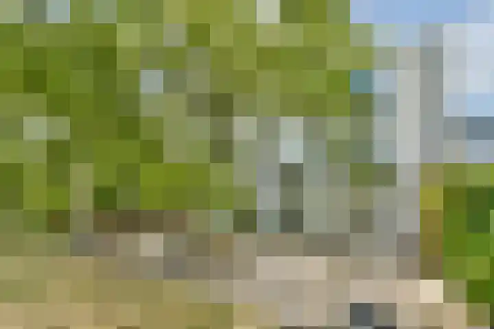 Lisdoddelaan 65 Amsterdam thumbnail 41