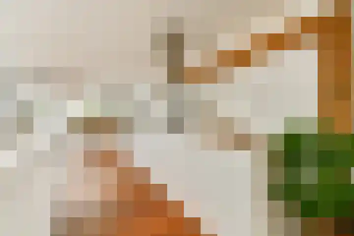 Lisdoddelaan 65 Amsterdam thumbnail 5