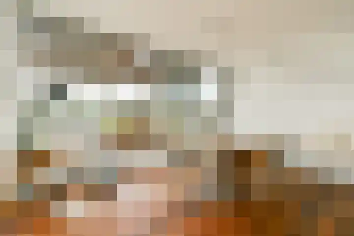 Lisdoddelaan 65 Amsterdam thumbnail 6