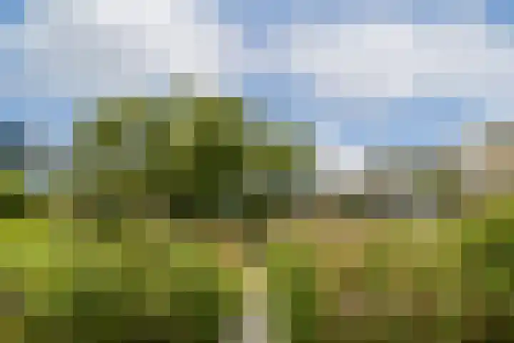Lisdoddelaan 65 Amsterdam thumbnail 9